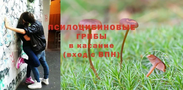 герыч Горнозаводск