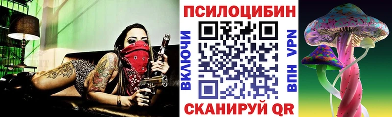 Купить где Калач Псилоцибиновые грибы мухоморы